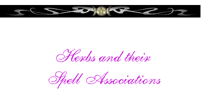   Herbs and their  Spell Associations